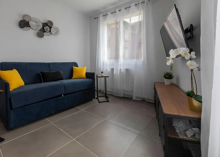 Loc Trotteur Le Graphite T2 Grand Confort Terrasse Daire Lourdes